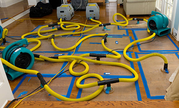 Professional Sewage Cleanup technician working in Budd Lake, NJ